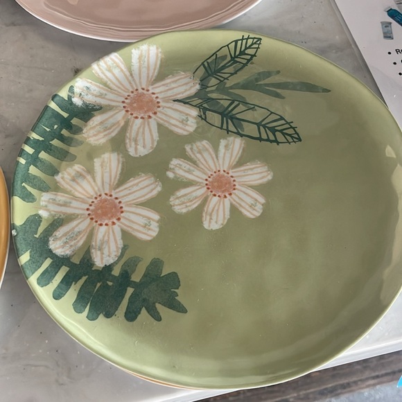 Melamine Plate Set: 8 - Picture 6 of 6